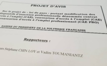 La nouvelle mouture de la Convention d'accès à l'emploi votée au CESC