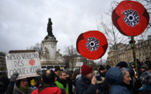 "Aux arbres, citoyens!": nouvelle mobilisation en France autour du climat
