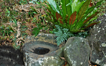 La vallée du tatouage à Tubuai