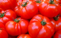 A Mayotte, des tomates contaminées par un insecticide interdit en France