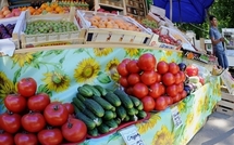 Canada: premier cas suspect d'Eceh lié à l'épidémie en Europe