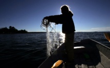 Pêche: Cash Investigation dénonce les ravages des DCP dans l'Océan indien