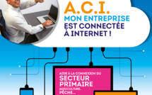 Internet : Une aide allant jusqu'à 200 000 francs pour connecter les entreprises