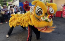 Les lions ont dansé pour l'ouverture de l'année du Cochon de terre
