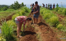 "Ea Mahina", un concept qui fait son bout de chemin au lycée professionnel de Mahina
