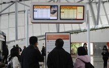 Volcan Puyehue : nouvelle série d'annulations de vols dans le Pacifique