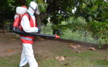 Un cas de dengue 2 à Mahina