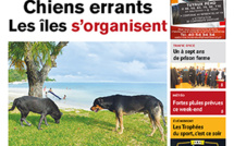 TAHITI INFOS N° 1347 du 15 février 2019