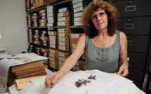 Mission en Nouvelle-Calédonie sur l'impact du plastique sur les coraux