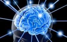 Epilepsie: des chercheurs identifient un gène "clé"