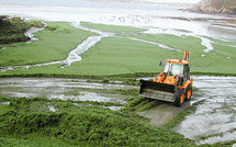 Lutte contre les algues vertes: signature d'un projet pilote en Bretagne