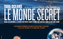 Tara-Océans: profession, chercheur-plongeur