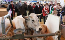 Salon de l'Agriculture: protéger les cultures des insectes grâce aux odeurs