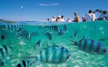 Tourisme: La destination Fidji refait le plein en Australie… Et ailleurs