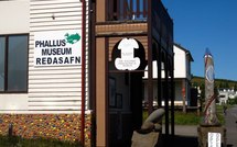 Au Musée phallologique d'Islande, tout est une question de taille