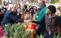 Européennes: la tête de liste RN se rend en Guyane, Martinique et Guadeloupe