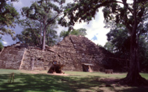 Carnet de voyage - Copan : le grand livre de pierre maya