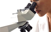 Créer une nouvelle forme de vie sur Terre: un premier pas chez les bactéries