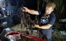 Une baleine meurt aux Philippines avec 40 kg de plastique dans l'estomac