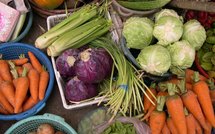 Controverse autour d'un nouveau mode moins polluant de culture des légumes