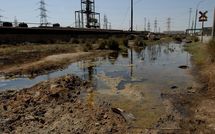 Des bactéries transgéniques pour nettoyer les eaux polluées par le mercure