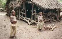 Troubles fonciers à Tanna : don d'un enfant pour construire la paix