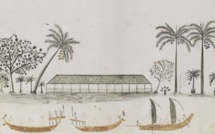   ​Il y a 250 ans : Cook, Banks et Tupaia, une rencontre improbable