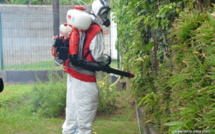 ​Dengue de type 2 : des foyers suspects à Mahina, Faa’a et Papara
