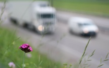 La pollution routière entraîne 4 millions de cas d'asthme par an chez les enfants