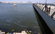 Phoques, caviar et pétrole: la mer Caspienne menacée par la pollution