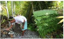 Air Tahiti Toa Nui : un "Koh Lanta" à la sauce polynésienne sur TNTV