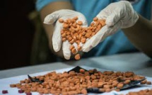 "Breaking Bad" au Japon: la fabrication d'ecstasy au programme à la fac