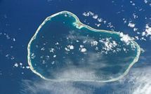 Coup de folie aux Tuamotu : un père et son fils éventrent deux chiens devant des enfants