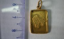 Le jardinier cambriolait les maisons de ses employeurs