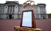 Le prince Harry et sa femme Meghan parents d'un "irrésistible" petit garçon