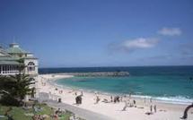 Disparition d’un nageur : un requin pointe blanche suspect numéro un