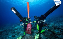 Et si les coraux trouvaient refuge dans les profondeurs ?