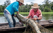 Au Brésil, la réserve Mamiraua, modèle de développement durable en Amazonie