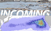 Les débris du tsunami japonais du 11 mars s'approchent d'Hawaii