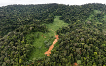 Guyane: l'exécutif rejette le projet Montagne d'Or, les opposants doutent