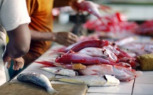 Antilles: Un arrêté limite le chlordécone dans toutes les viandes et poissons