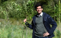 EcoTree, la start-up qui vend des arbres pour sauver les forêts