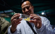 A Hong Kong, un scientifique veut ressusciter la "Perle de l'Orient"