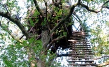 Les pompiers acrobates secourent un chasseur à la palombe pris au piège