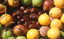 Carnet de voyage - Balade autour de Raivavae