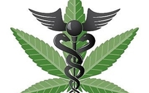 USA: deux Etats veulent faciliter l'usage médical de la marijuana