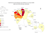 Plus de 100 cas de dengue 2 enregistrés