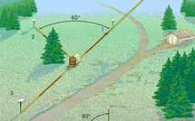 La danse des abeilles ressemble aux mouvements des neurones