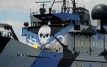 Les baleiniers japonais portent plainte contre Sea Shepherd aux Etats-Unis