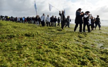 Algues vertes: une bande dessinée jette un pavé dans la mare